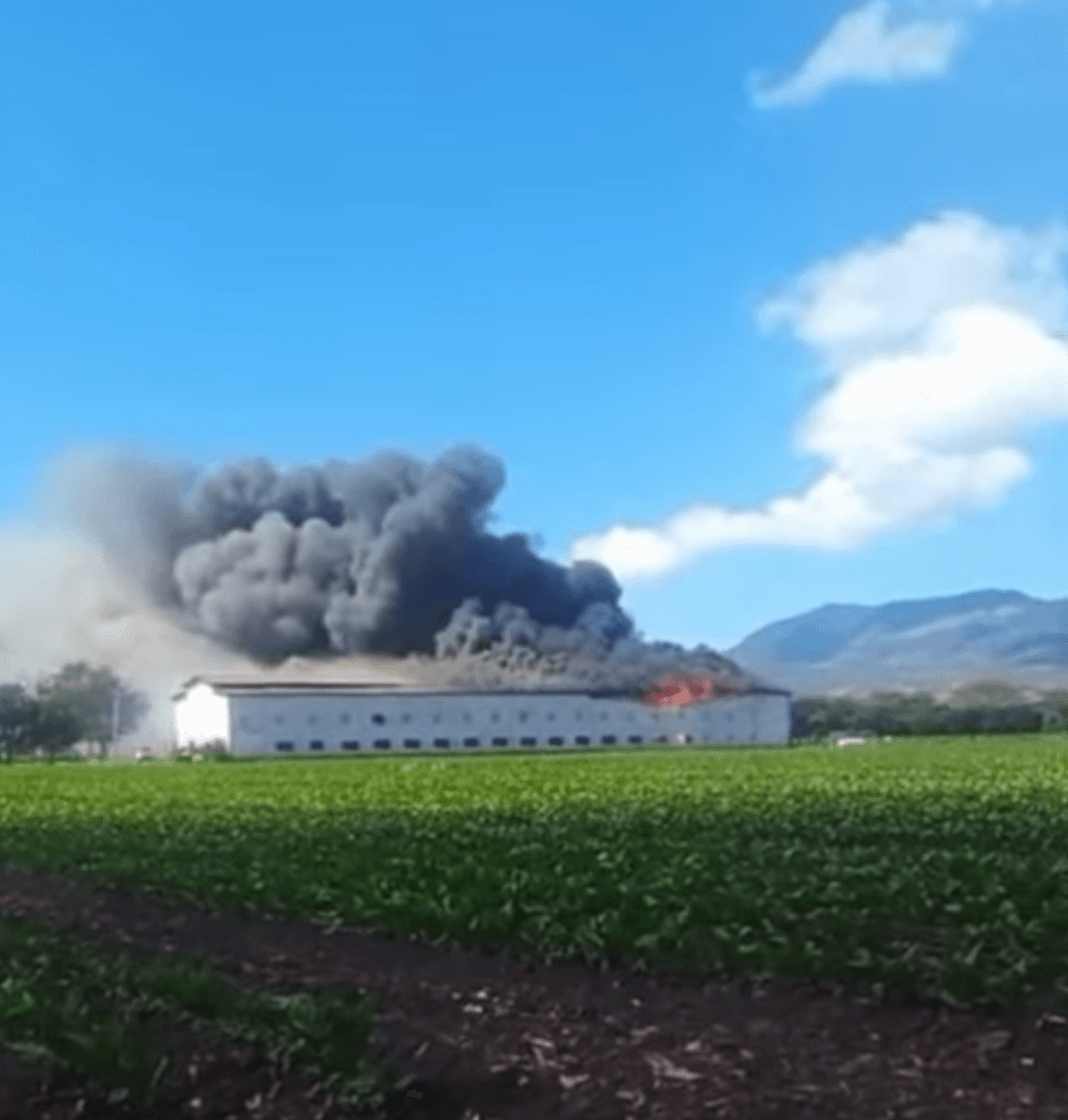Plasencia Cigars farm in Estelí Nicaragua following contained fire