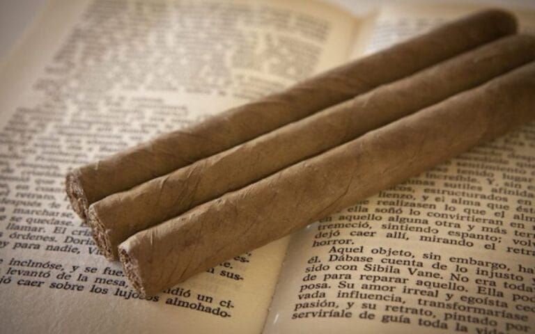 Master guide to cigar glossary and terminology for Dominican Leaf showing premium handmade cigars and leaves.