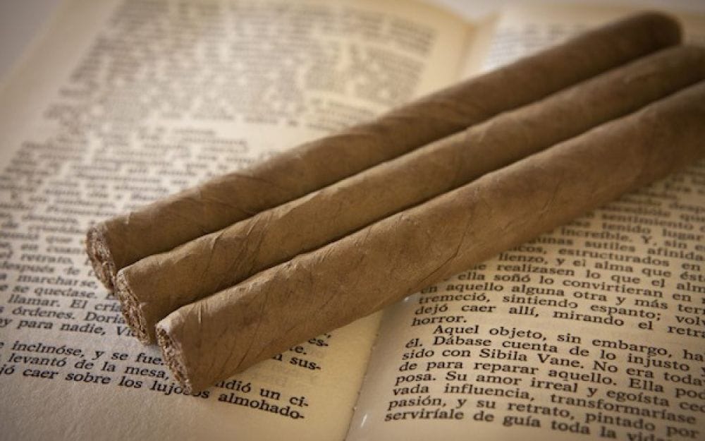 Master guide to cigar glossary and terminology for Dominican Leaf showing premium handmade cigars and leaves.
